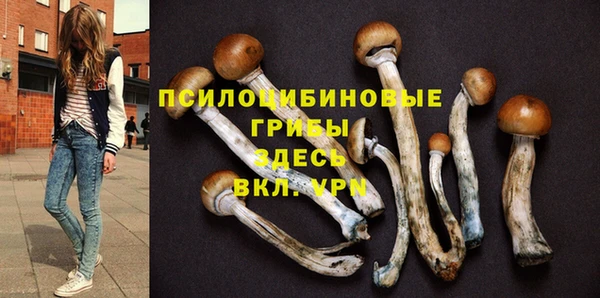 бошки Абдулино