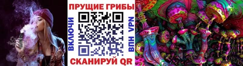 Псилоцибиновые грибы мицелий  как найти закладки  гидра tor  Анадырь 